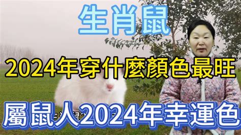 屬鼠幸運顏色|屬鼠2024運勢丨屬鼠增運顏色、開運飾物、犯太歲化解、年份